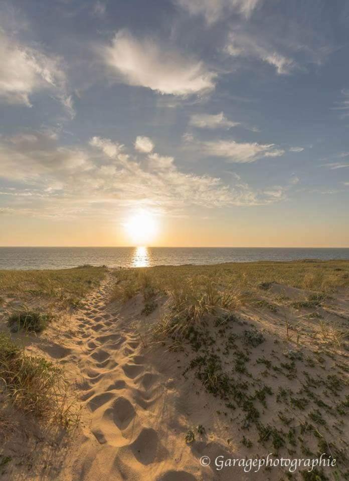 Moliets Plage Appartement Pour 4 Piscine Proche Plage Et Commerces Εξωτερικό φωτογραφία